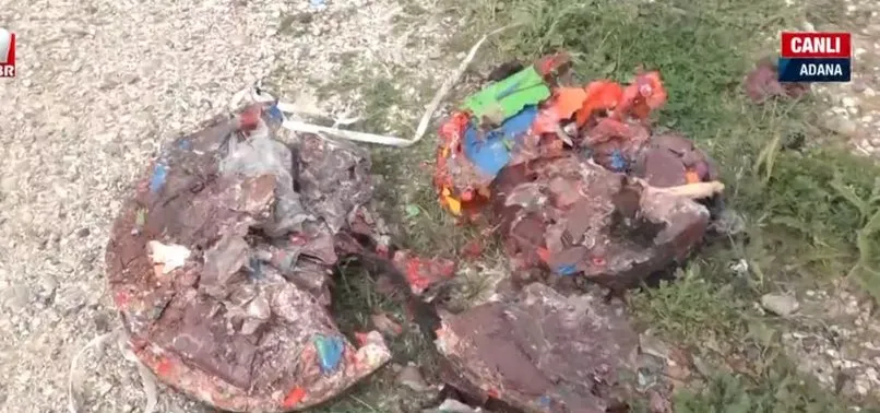 Adana’da ormanlarda katı atık felaketi
