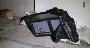 Sokakta ortasında bulundu! Görenler şaşkın