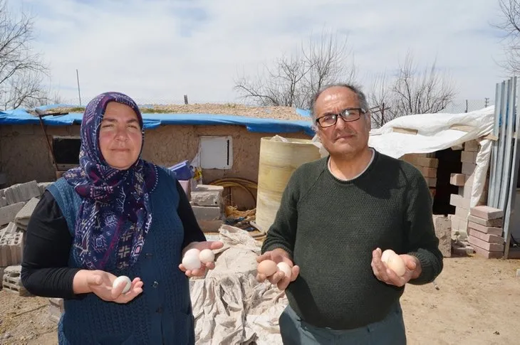 Aksaray’da bin lira kredi desteği alan Hatice Gökçe 11 yılda çiftlik kurdu