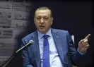 Erdoğan için bu manşetleri attılar