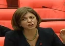 HDP 15 Temmuz çağrısını Kobani ile bir tuttu