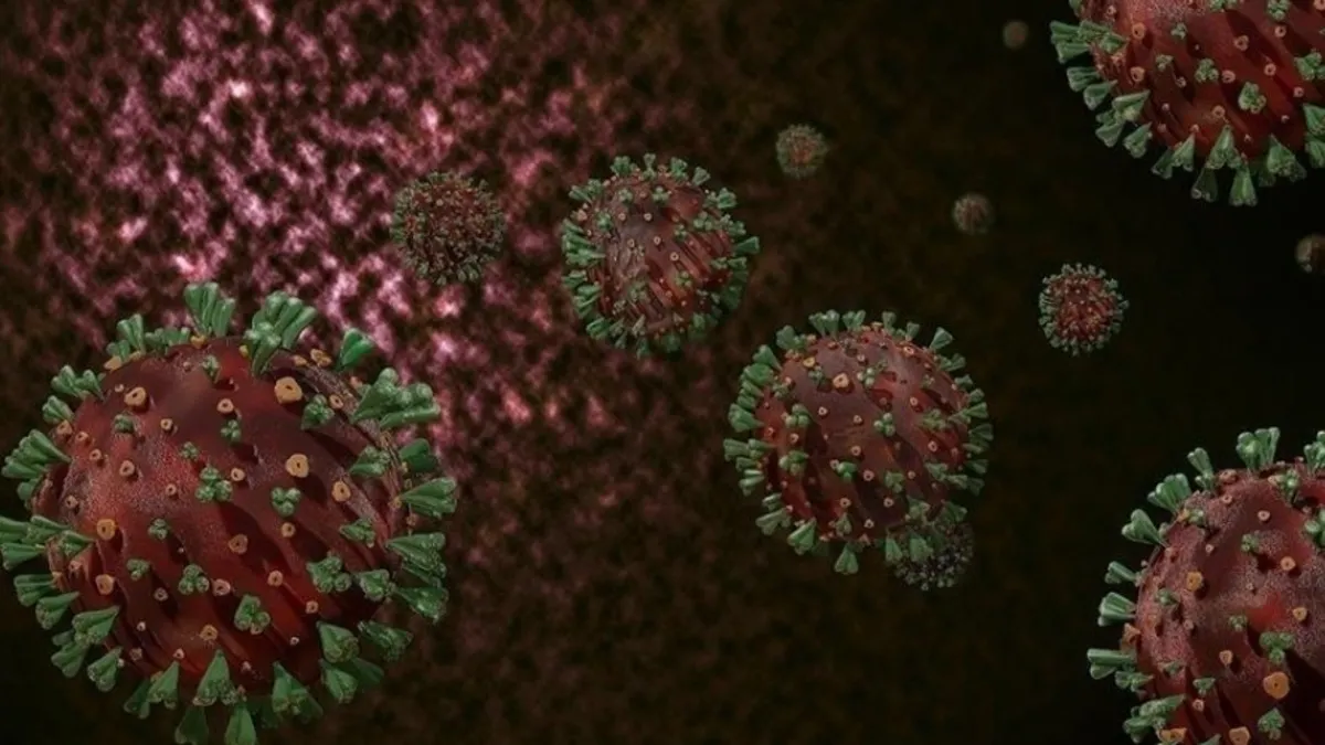 Afrika ülkesi Namibya'da M çiçeği virüsü tespit edildi