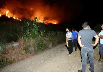 Antalya'da makilik yangını