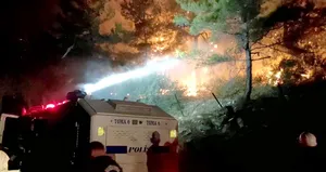 Yangın fırsatçılarından yeni plan! Satışa çıkardılar