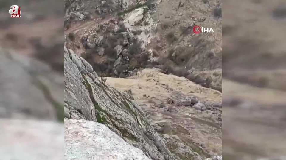 Sürü halinde ortaya çıktılar