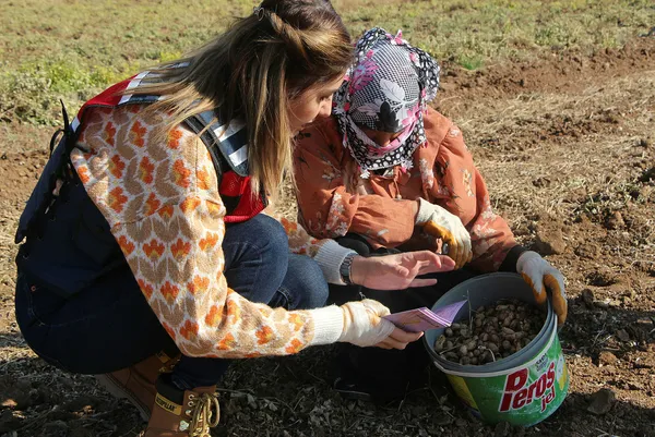 sirnakta-kadin-komutanlar-tarlada-calisan-hemcinslerine-kadesi-anlatti-cep-telefonlarina-mobil-uygulamasini-in-1669372101930.jpg Şırnak’ta kadın komutanlar tarlada çalışan hemcinslerine KADES’i anlattı! Cep telefonlarına mobil uygulamasını indirdi - 5