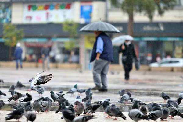 bugun-hava-nasil-olacak-18-ekim-istanbul-izmir-ankara-hava-durumu-meteoroloji-uyardi-sel-su-baskini-dolu-1634529003100.jpg Bugün hava nasıl olacak? 18 Ekim İstanbul, İzmir, Ankara hava durumu! Meteoroloji uyardı! Sel, su baskını, dolu... - 4