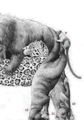 Zeka testi: Resimde kaç hayvan var? 30 saniyede bulamayanlar eleniyor 13