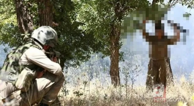 PKK silah bıraktı! İşte fesih kongresinden ilk kareler! Sırrı Süreyya Önder detayı 3