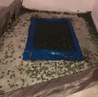 Sınır kapısında ele geçirildi! Tam 2 bin 500 tane...