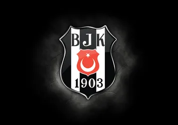 Beşiktaş, Kocaeli Birlikspor'u satın aldı