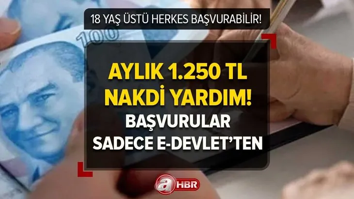 18 yaşını dolduran herkes başvurabilir! Kişi başına 1.250 TL para yardımı!  e-Devlet’ten başvuran PTT’den nakit çekebiliyor!