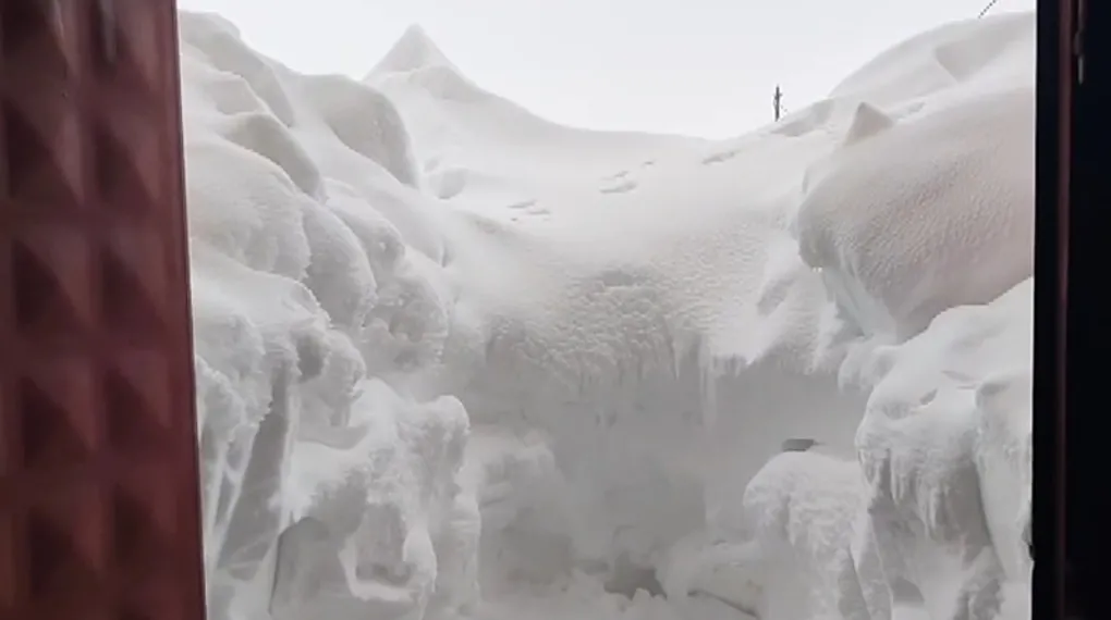 Tipide ahıra saklanan köpek kapıya sıkıştı