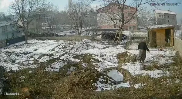 ispartada-sokak-kopekleri-tavuklari-telef-etti-onlar-kamerada-1642928838493.jpg Isparta’da sokak köpekleri tavukları telef etti! Onlar kamerada - 2