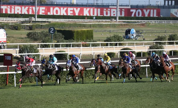 95. Gazi Koşusu'nu Ahmet Çelik'le Burgas kazandı - 4