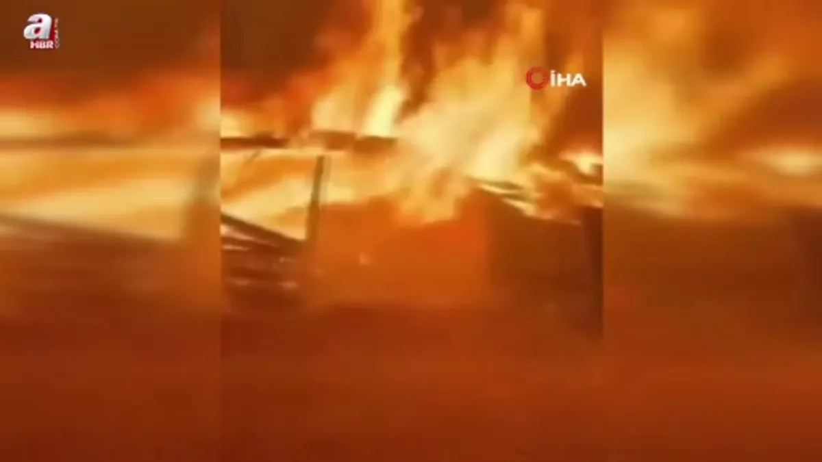 Bursa'da bir köye panik yaşatan yangın