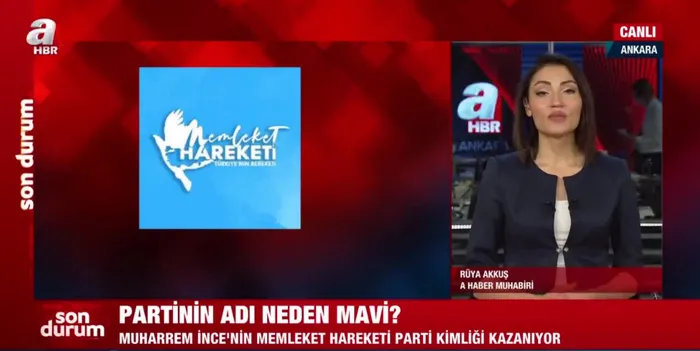 Muharrem İnce'nin Mavi Parti'sinin logosu belli oldu - 3