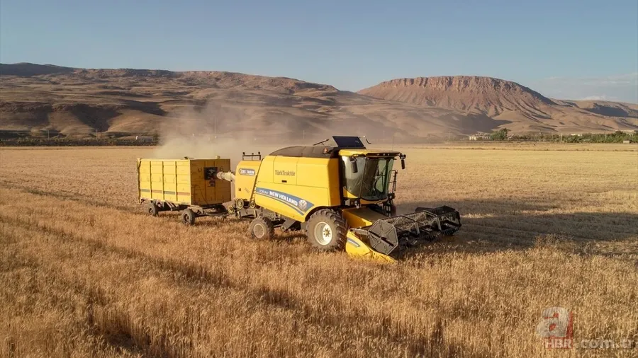 Van'da hububat üretiminde yüzde 75 artış! Sertifikalı tohumla ekim yapılıyor 10