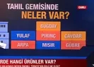 Tahıl gemisinde neler var? Türkiye’ye katkı sağlar mı?
