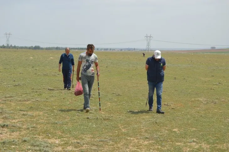 Afyonkarahisar'da vatandaşlar domalan mantarlarını toprak altında define gibi aranıyor