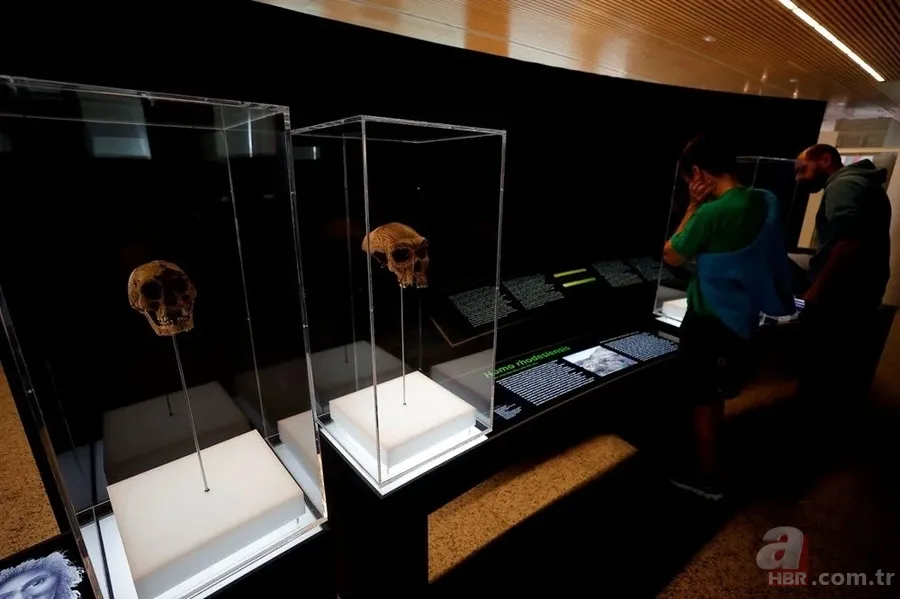 Dünya tarihini değiştirecek keşif! 1,4 milyon yaşında 23