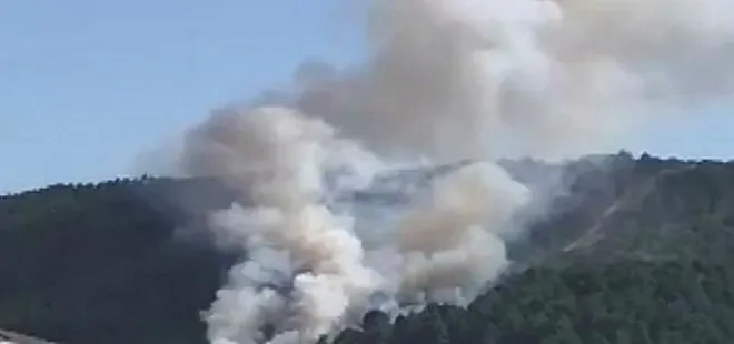 Son dakika: İstanbul’da orman yangını! Valilikten açıklama geldi