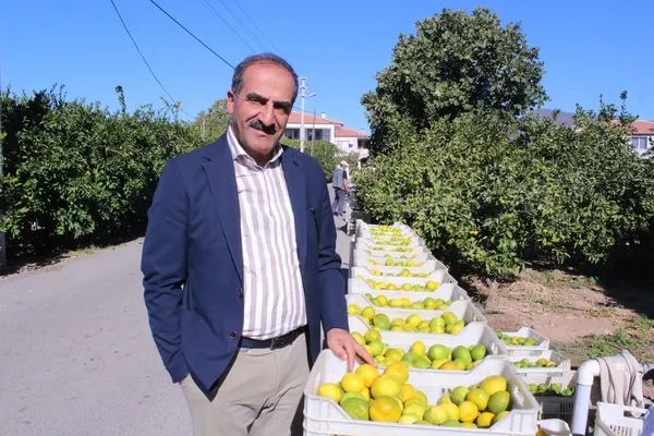 izmirin-topraklarindan-62-ulkeye-sari-altinin-hasat-zamani-geldi-1666767339691.jpg İzmir’in topraklarından 62 ülkeye! Sarı altının hasat zamanı geldi - 6