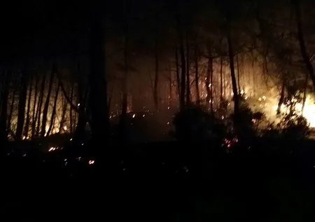 Muğla'daki yangın kontrol altına alındı