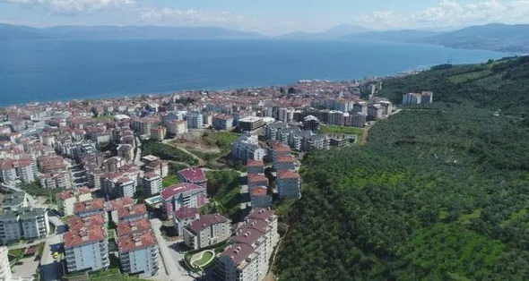 CHP’li başkan zeytinlikleri katletti! Hem talan hem de şov yapıyor