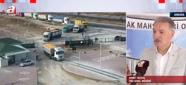 Tarlada hasat sezonu sürüyor! TMO randevu sisteminde bir sorun var mı?