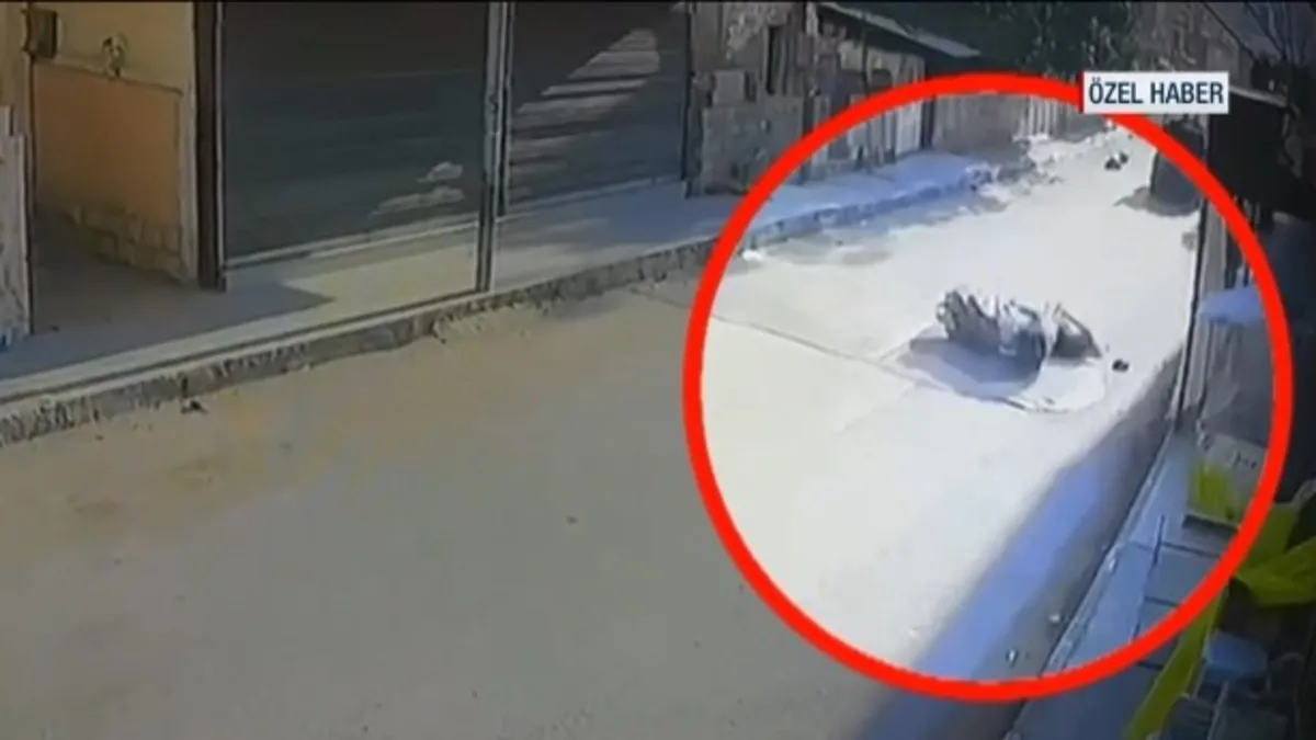 2 gün sonra evlenecekti, kardeşini toprağa verdi! İsrail 17 yaşındaki İsa’yı motosiklette katletti| | Acılı Filistinli aile A Haber'e konuştu