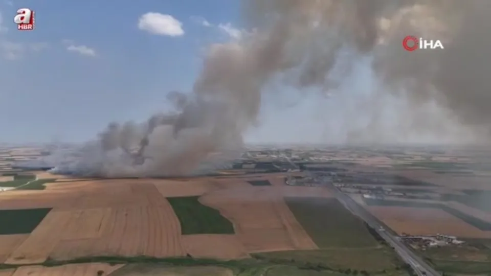 Kırklareli’nde buğday tarlalarında yangın