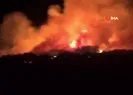 Çanakkale’de orman yangını