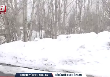 Doğu Anadolu'da 5 gün sürecek kar uyarısı