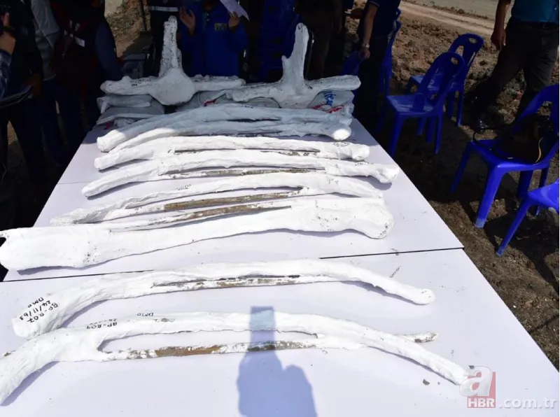 Bilim dünyasını şaşkına çeviren olay! Asırlara meydan okumuş! Tam 5 bin yıllık 4