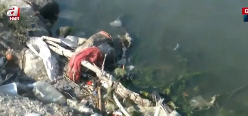 İzmir Körfezi'ni müsilaj değil kirlilik vurdu! İzmir Körfezi’nin kaderi değişecek mi?