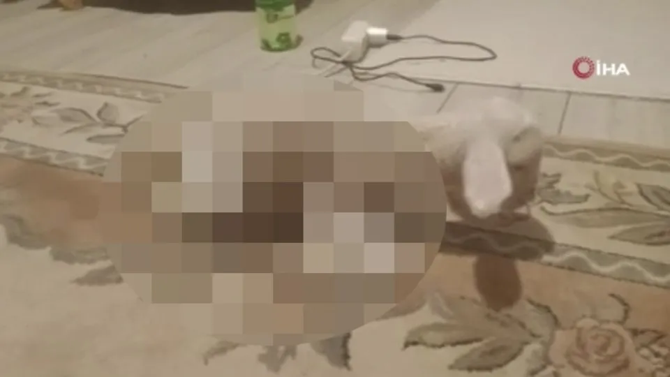 Görenler gözlerine inanamadı! Bacakları ters doğdu