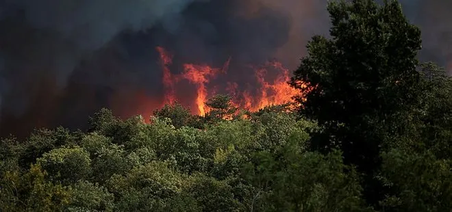 Avrupa’yı korkutan bir yangın daha! Slovenya’da 4 köy boşaltıldı