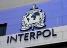 FETÖ ve PKKya Interpol kalkanı