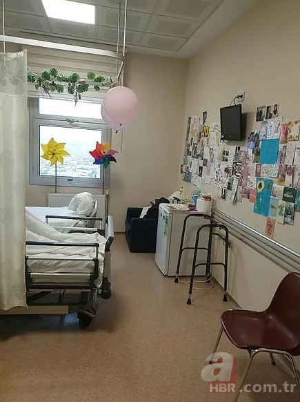 Hollanda ölüme terk ediyordu Türkiye yaşattı! Dilara Şahin'den sevindiren haber 3