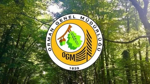 OGM personel alımı başvuru LİNKİ! OGM ve DSİ işçi alımı başvuru şartları açıklandı mı? OGM personel alımı detayları... - 6