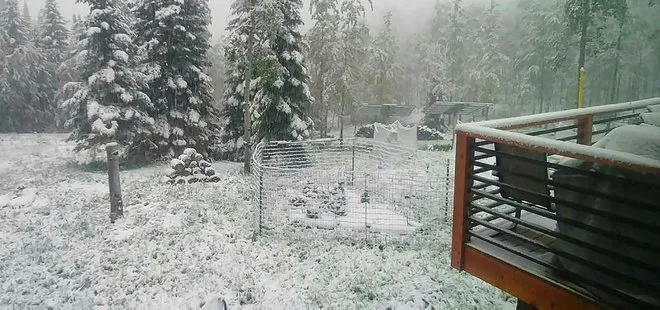 ABD’de kar uyarısı! 2 çocuk ölü bulundu