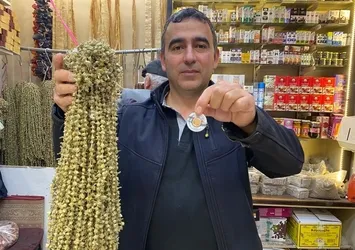 Çiçek bamyanın fiyatı gram altına yaklaştı!