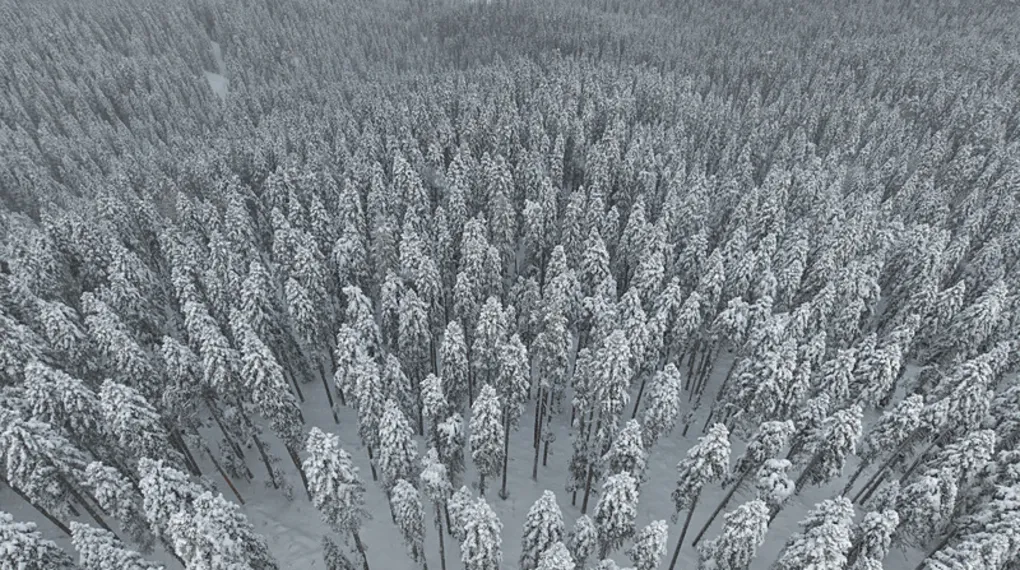 Ilgaz Dağı'nda hafta sonu yoğunluğu