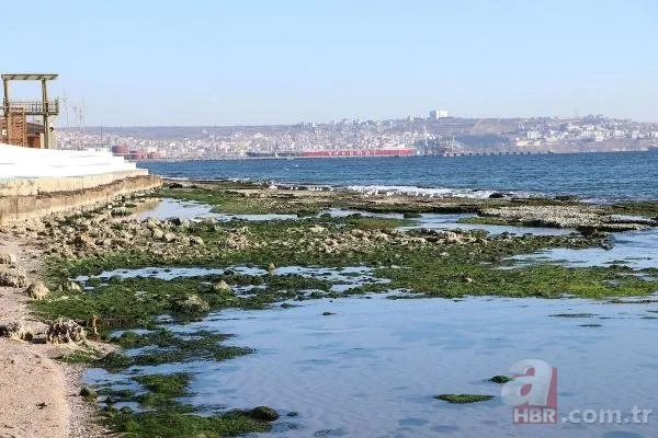 Marmara Denizi çekildi! Depremle ilgisi var mı? Uzman açıkladı
