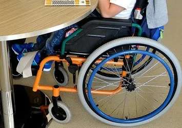 'Türkiye'de her bin doğumdan üçü spina bifidalı'