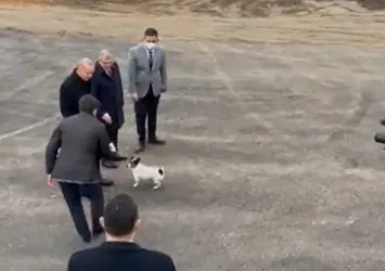 Başkan Erdoğan'dan hayvan barınağına ziyaret: Maylo isimli köpekle yakından ilgilendi
