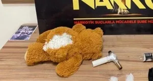 Oyuncak ayının içinden çıkanlar şoke etti