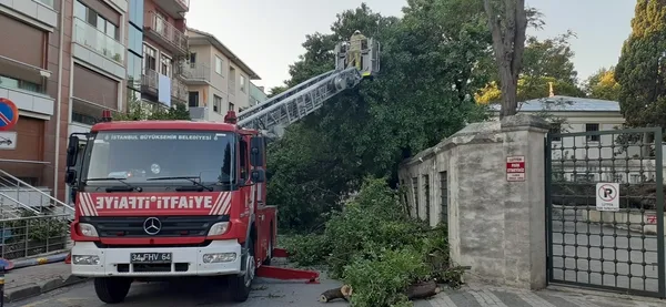 uskudarda-asirlik-agac-aracin-uzerine-devrildi-1658123041606.jpg Üsküdar’da asırlık ağaç aracın üzerine devrildi - 3