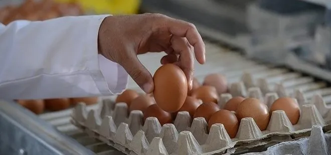 İngiltere’de yumurta kıtlığı! NFU’den uyarı: “Bu sadece başlangıç”